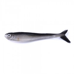 ماهی ژله ای  8cm 2g بسته 2 عددی